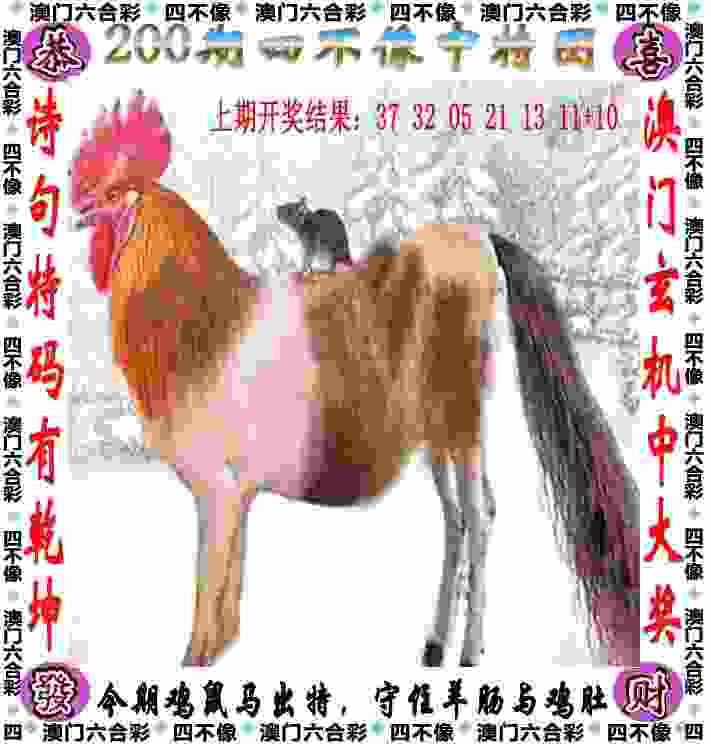 【楠楠自语】约基奇，六边形战士！